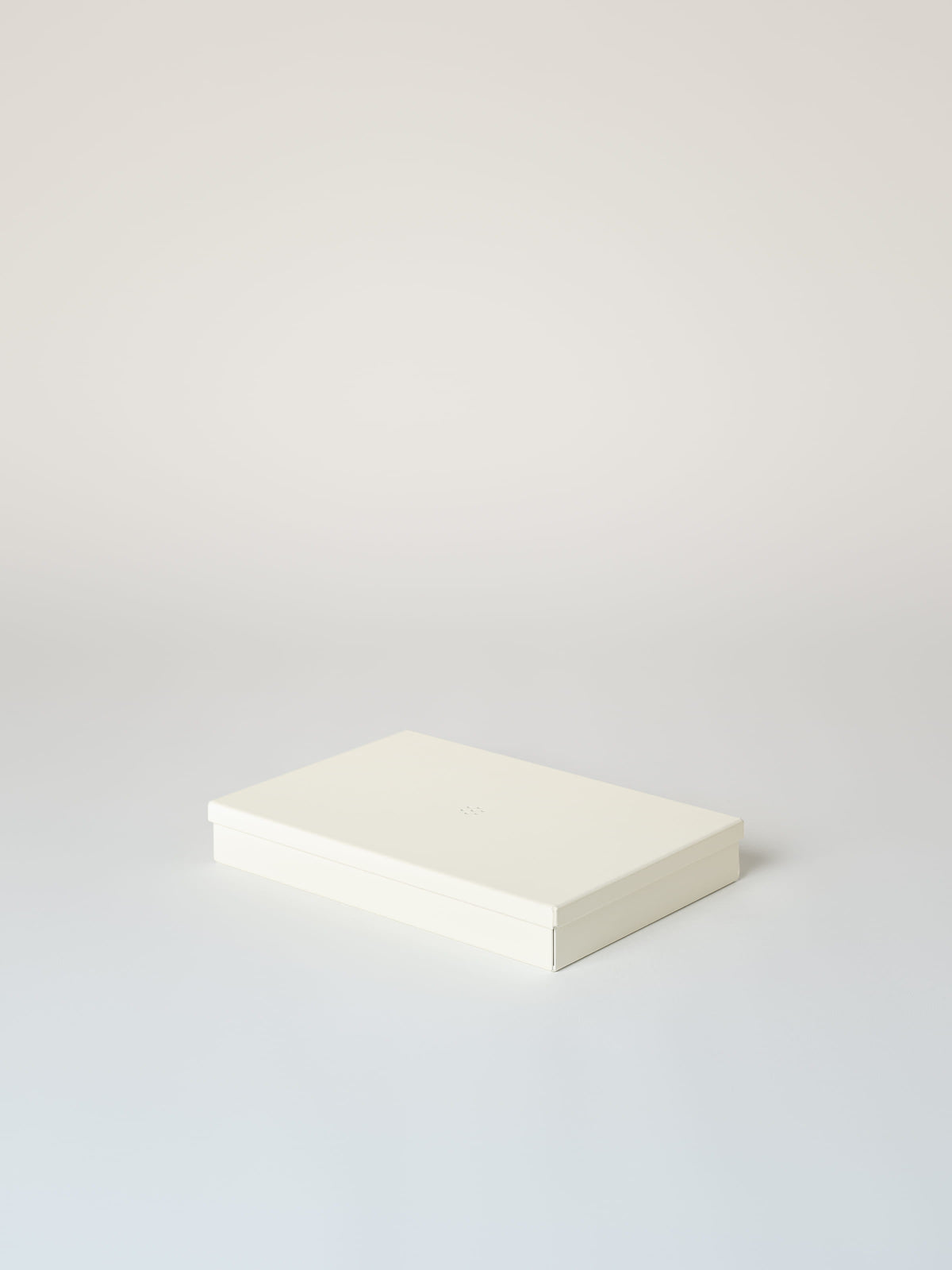 Metal Box Size M - Pearly White