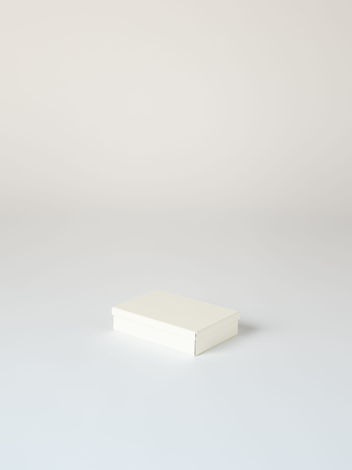 Metal Box Size S - Pearly White